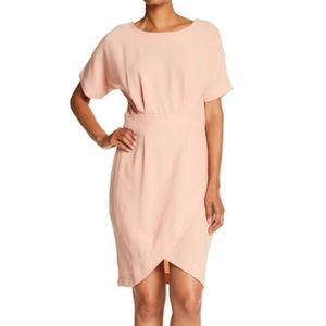 Bobeau Nordstrom Dress Dolman Shortsleeve Pink Medium Petite NWOT